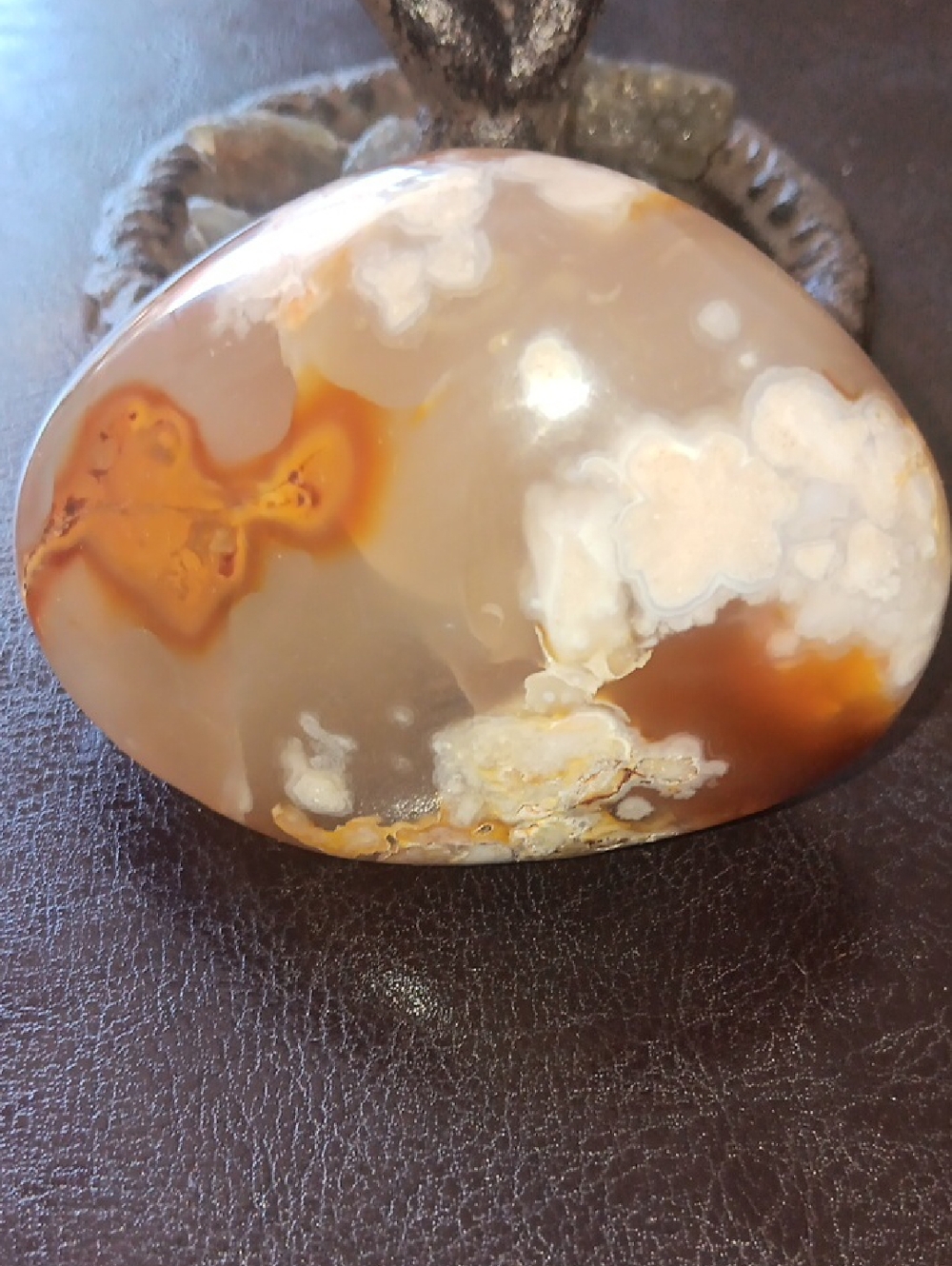Polished Agate Brown & Cream Tones